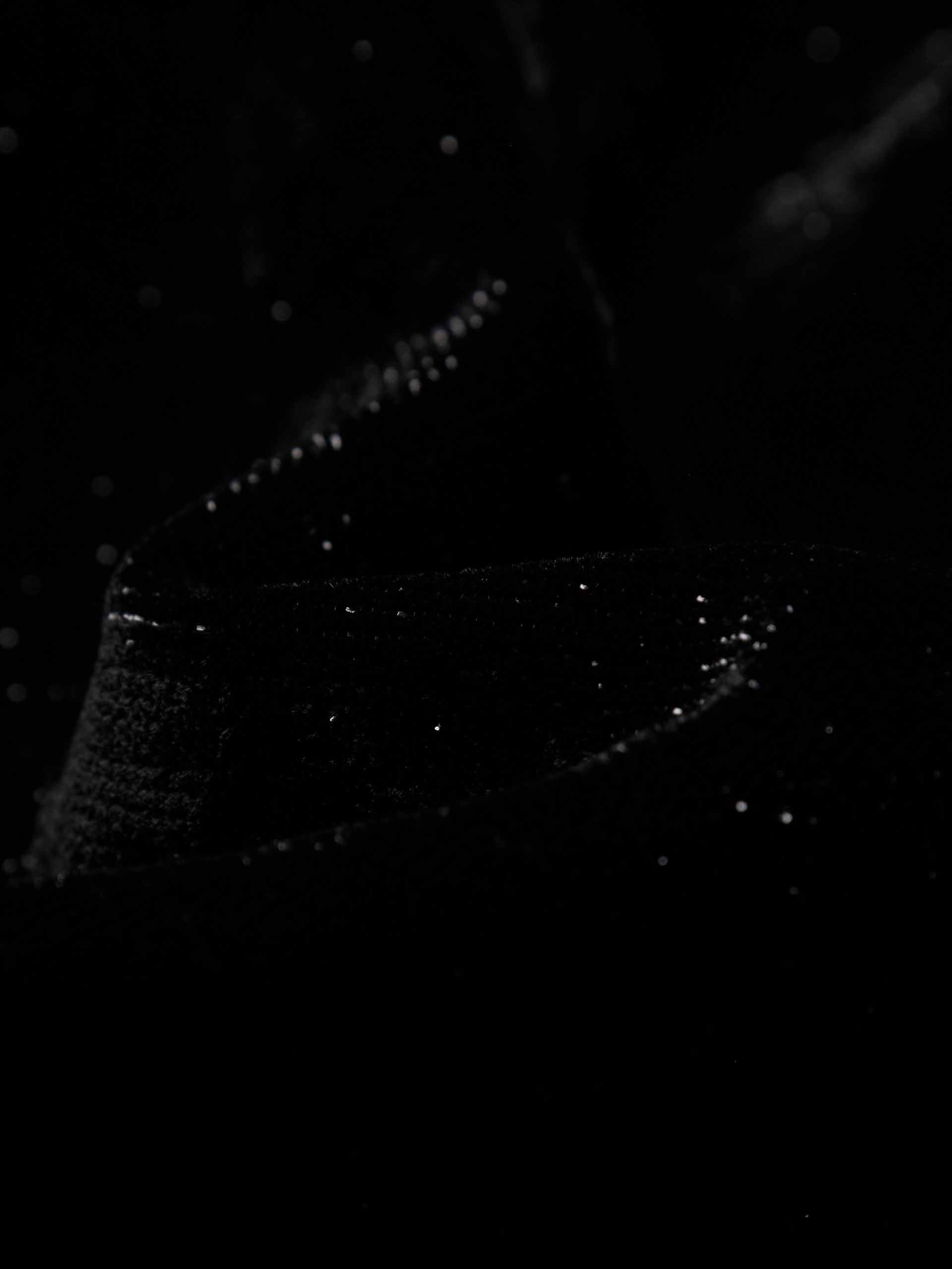 MO&Co. Women's Single Breasted Velvet Formal Blazer in Black