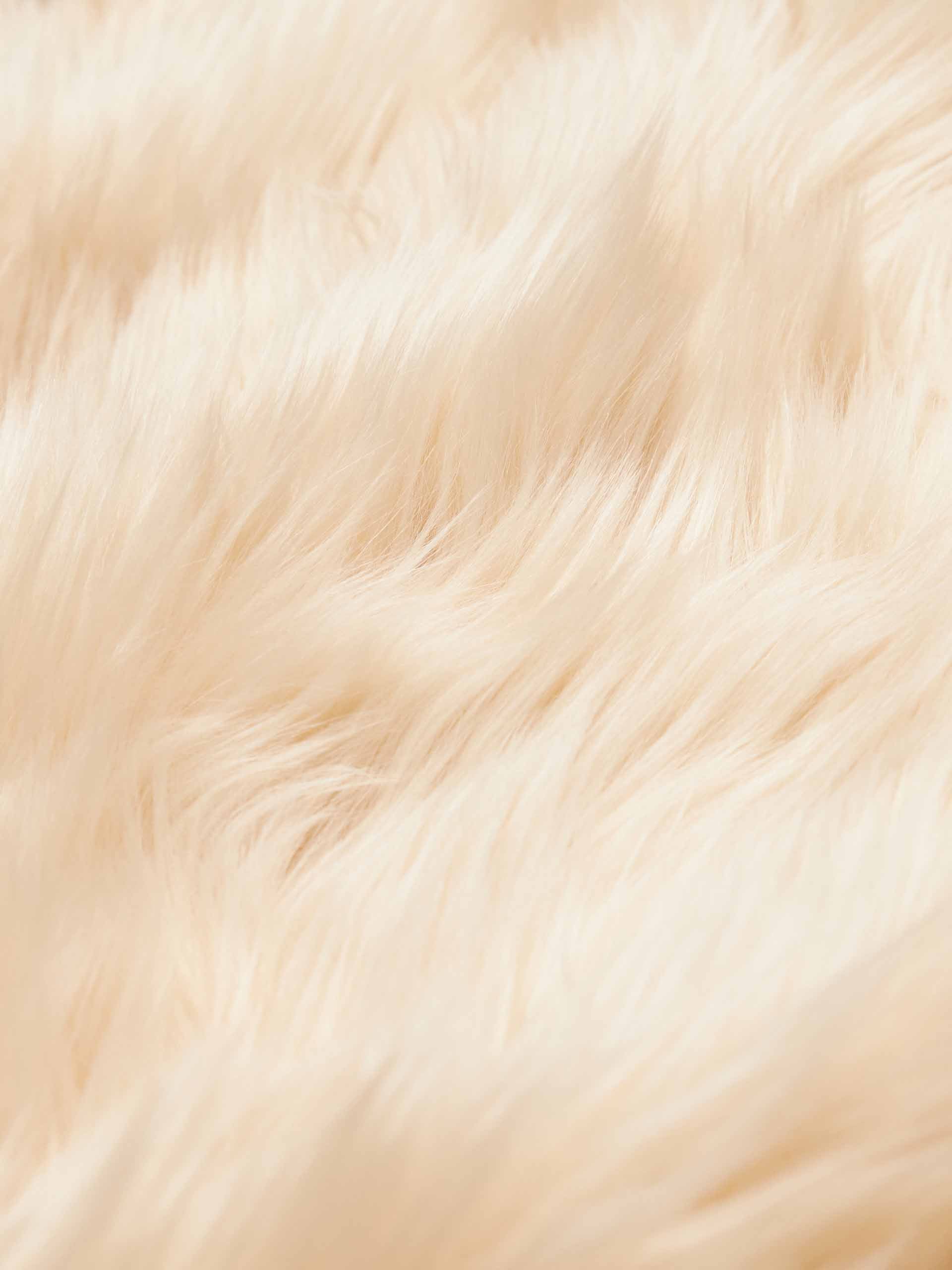 MO&Co. X RECTO Collection Women's Buckle Detail Faux Fur Coat in Beige