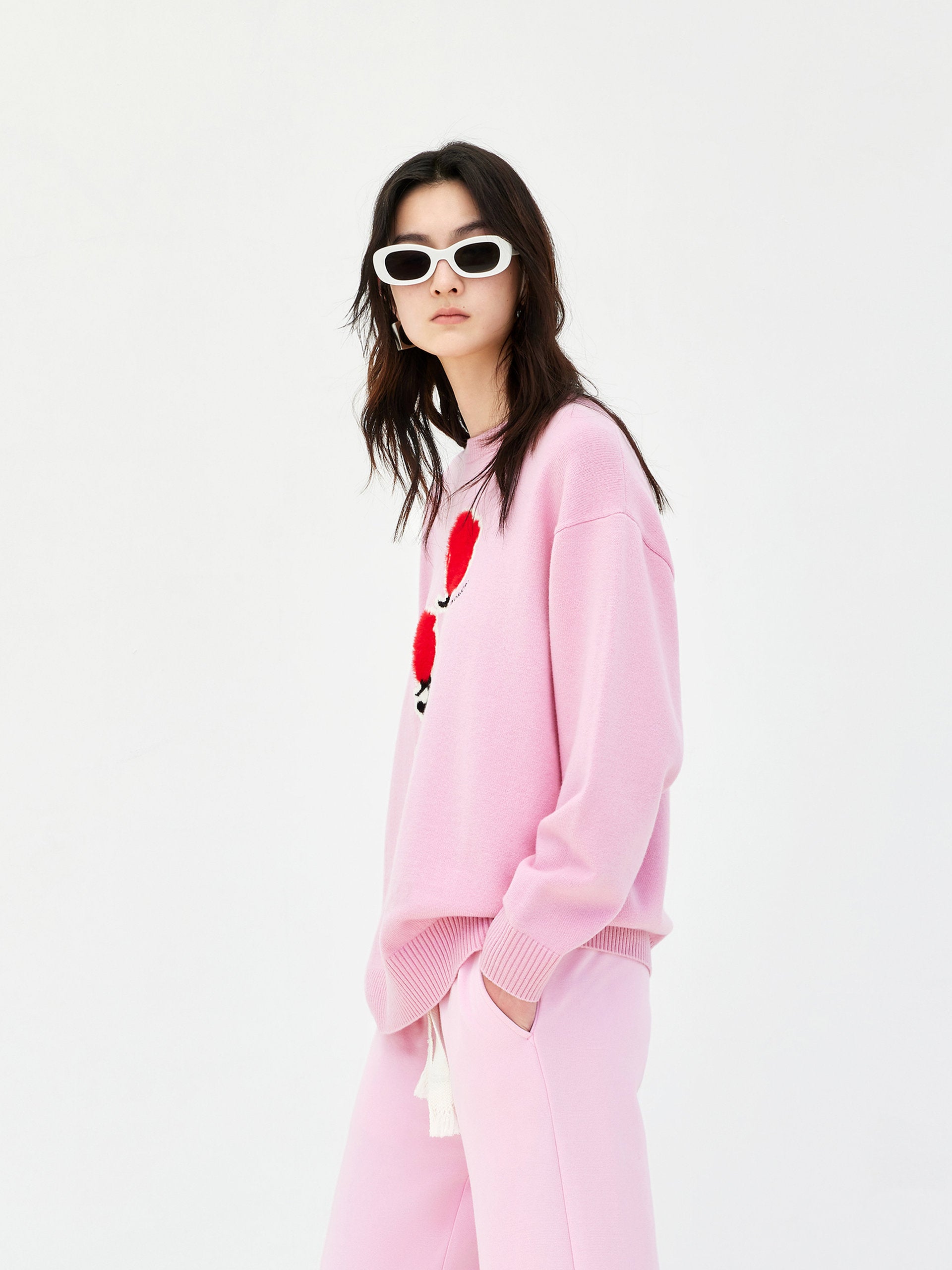 Pink Rose Embroidered and Jacquard Wool Sweater Pullover