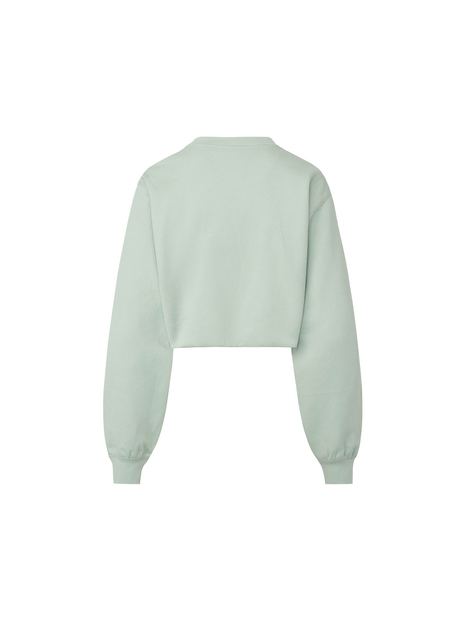 Women's Cotton Blend Cropped Sweatshirt in Mint