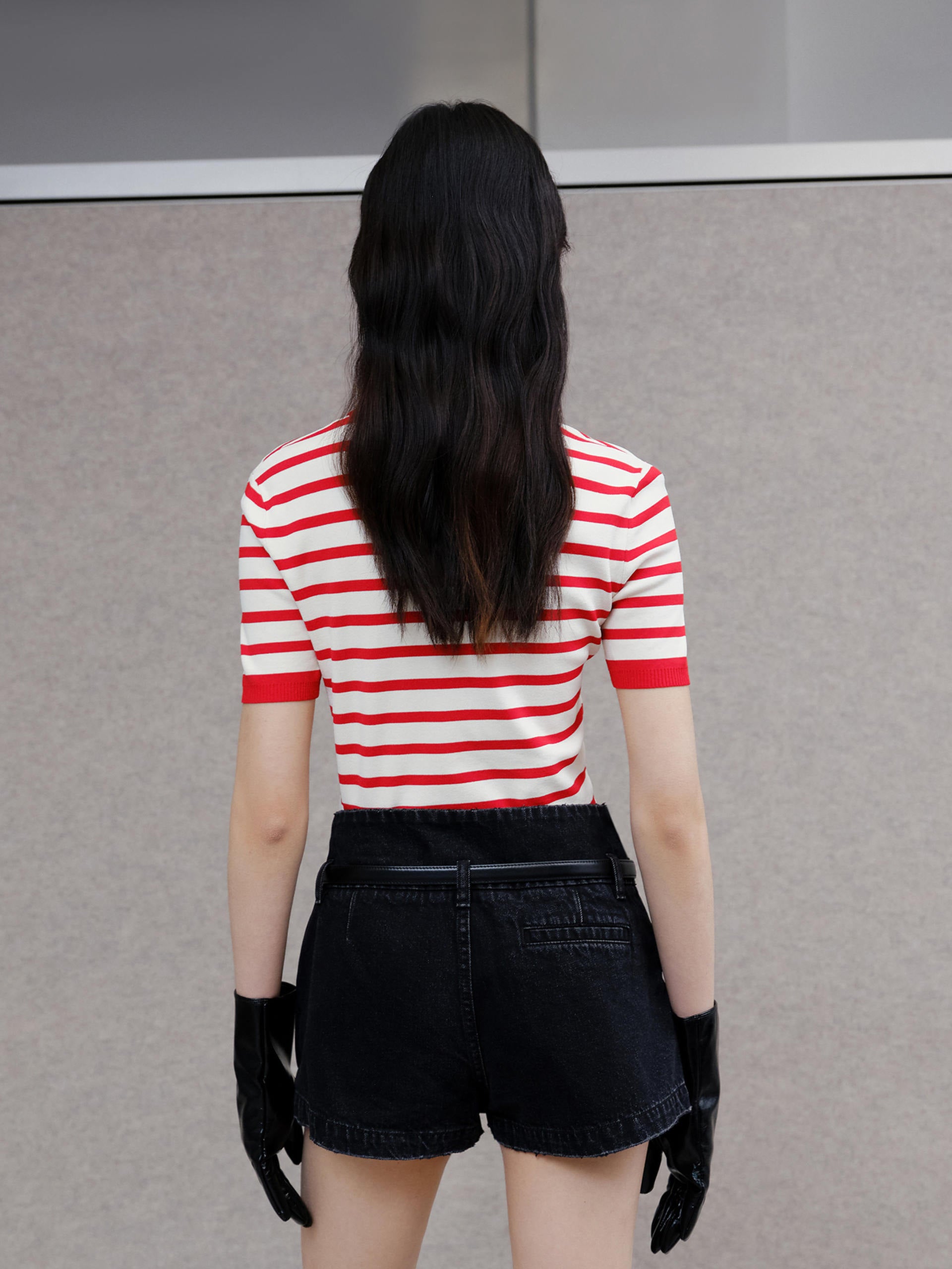 Embroidered Knitted Striped Cropped Red Top