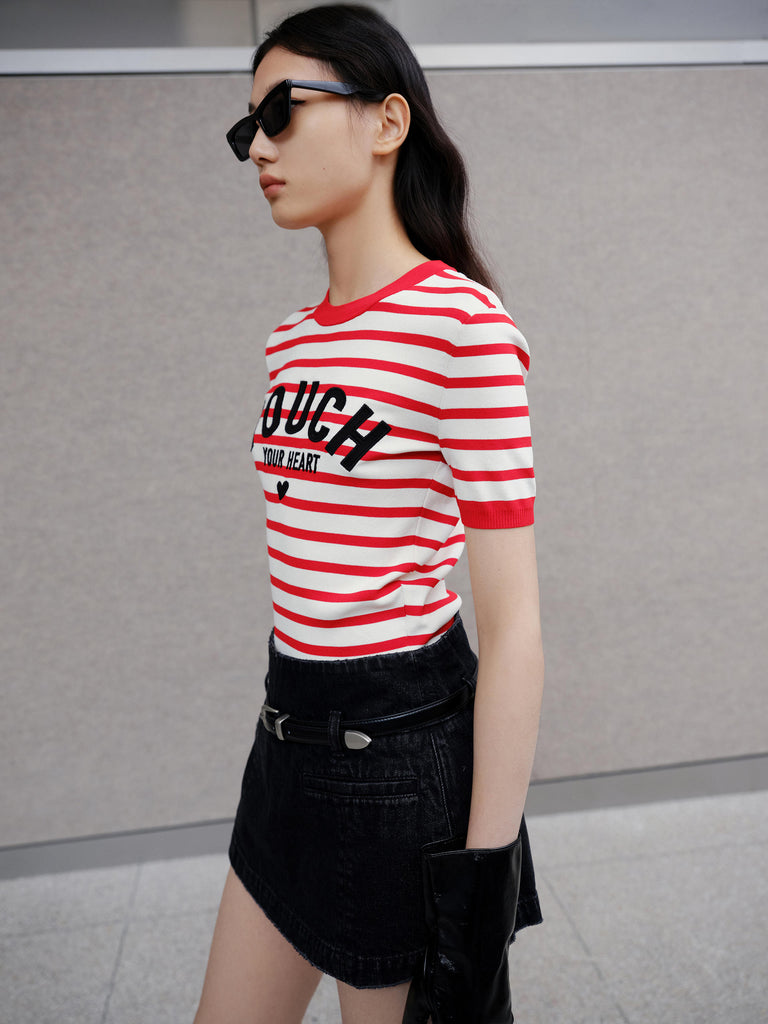 Embroidered Knitted Striped Cropped Red Top